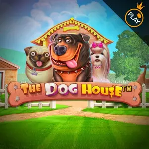 The Dog House — Spiel bei NV Casino
